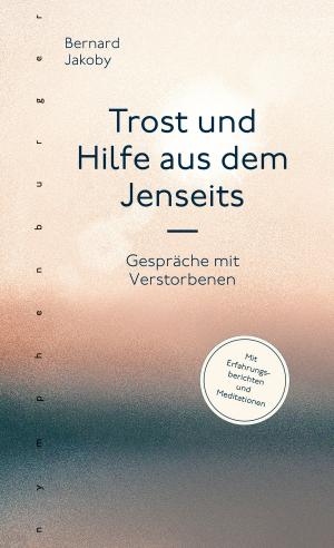 Cover of the book Wir sterben nie by Kurt Tepperwein
