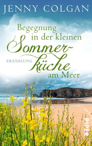 Cover of the book Begegnung in der kleinen Sommerküche am Meer by Robert Jordan