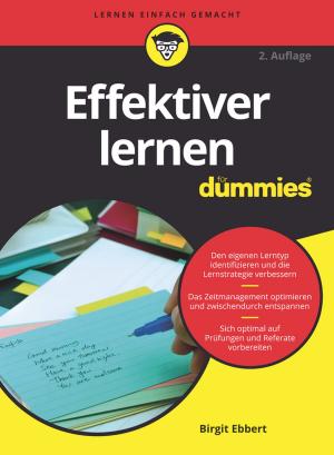 Cover of the book Effektiver Lernen für Dummies by Miguel Elias Mitre Campista, Rubinstein Marcelo Gonçalves Rubinstein