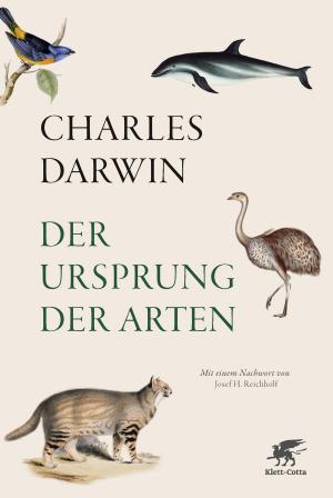 Book cover of Der Ursprung der Arten
