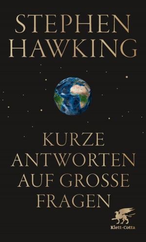 Cover of the book Kurze Antworten auf große Fragen by Patrick Rothfuss