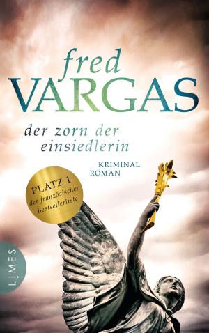Cover of the book Der Zorn der Einsiedlerin by James Patterson