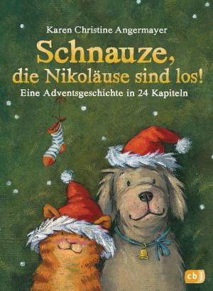 Cover of the book Schnauze, die Nikoläuse sind los by Enid Blyton