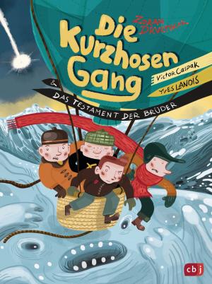 Cover of the book Die Kurzhosengang und das Testament der Brüder by Usch Luhn