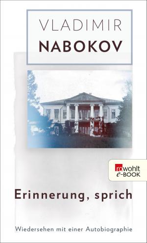 Book cover of Erinnerung, sprich