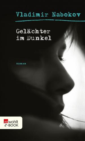 Cover of the book Gelächter im Dunkel by Janwillem van de Wetering