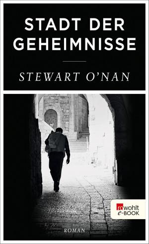 Cover of the book Stadt der Geheimnisse by Paul Auster
