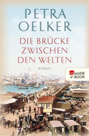 Cover of the book Die Brücke zwischen den Welten by Matthew J. Arlidge