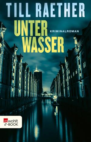 Cover of the book Unter Wasser by Peter Zwegat, Liane Scholze