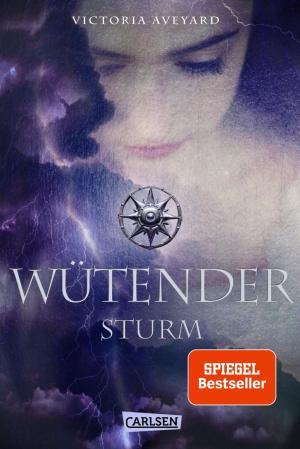 Cover of the book Wütender Sturm (Die Farben des Blutes 4) by Meagan Spooner, Amie Kaufman