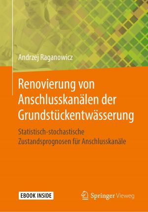 Cover of the book Renovierung von Anschlusskanälen der Grundstückentwässerung by Ulf Emmerich