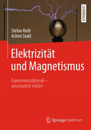 Cover of the book Elektrizität und Magnetismus by Daniel Bättig