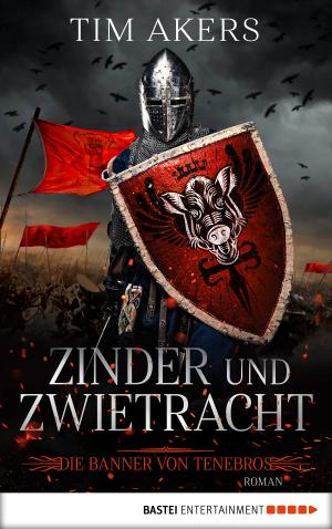 Cover of the book Die Banner von Tenebros - Zinder und Zwietracht by Jay Lake