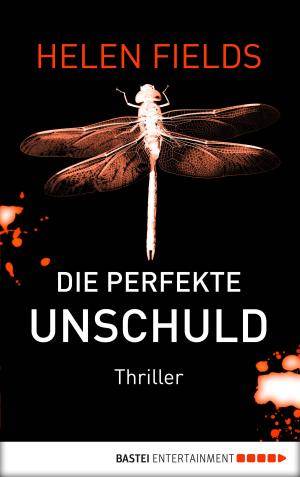 Cover of the book Die perfekte Unschuld by Wolfgang Hohlbein