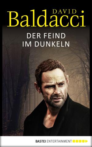Book cover of Der Feind im Dunkeln