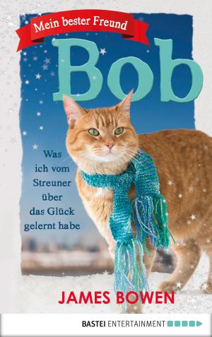 Cover of the book Mein bester Freund Bob by Christian Schwarz, Simon Borner