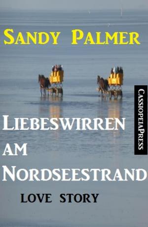 Cover of the book Liebeswirren am Nordseestrand: Love Story by Jennifer Brozek