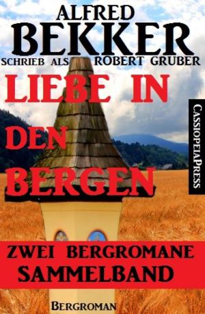 Cover of the book Liebe in den Bergen - Zwei Bergromane by Noah Daniels