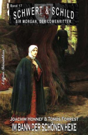 Book cover of Schwert und Schild - Sir Morgan, der Löwenritter Band 17: Im Bann der schönen Hexe