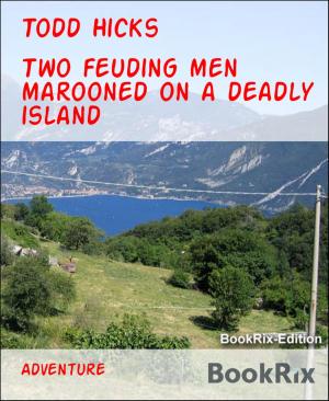 Cover of the book Two feuding men marooned on a deadly island by Pete Hackett