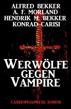 Book cover of Werwölfe gegen Vampire