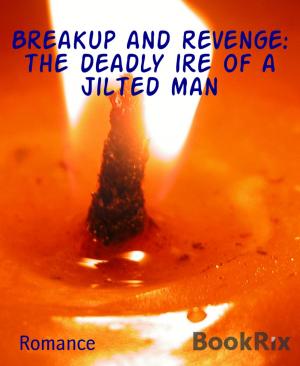 Cover of the book Breakup and revenge: the deadly ire of a jilted man by Anna Miller