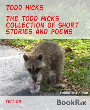 Cover of the book The Todd Hicks Collection of Short Stories and Poems by Angelika Nylone
