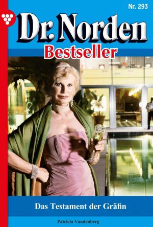 bigCover of the book Dr. Norden Bestseller 293 – Arztroman by 