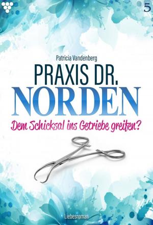 Cover of the book Praxis Dr. Norden 5 – Arztroman by G.F. Barner