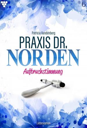 Book cover of Praxis Dr. Norden 6 – Arztroman