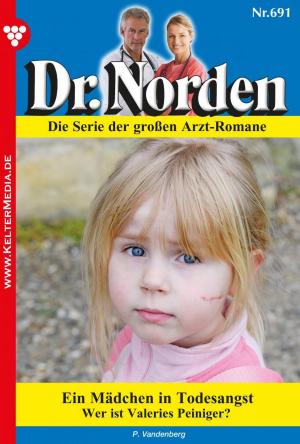 Cover of Dr. Norden 691 – Arztroman
