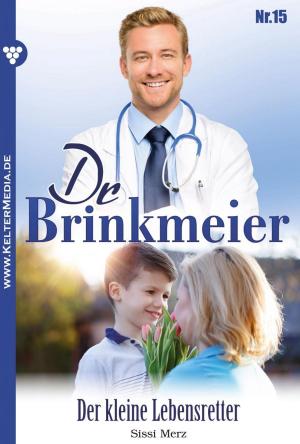 Cover of the book Dr. Brinkmeier 15 – Arztroman by Karina Kaiser