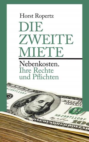 Cover of the book Die zweite Miete by Annina Boger