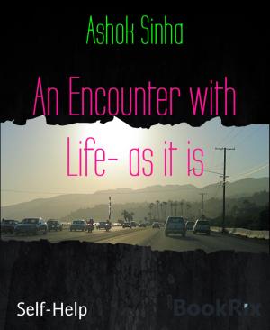 Cover of the book An Encounter with Life- as it is by Claas van Zandt