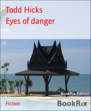 Cover of the book Eyes of danger by Paul van Herck