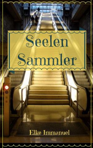 Cover of the book Seelen Sammler by karthik poovanam