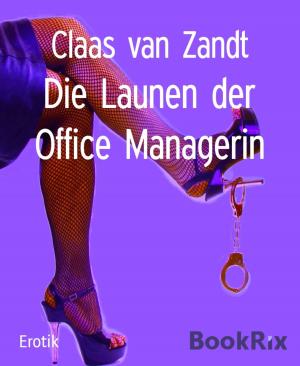 Cover of the book Die Launen der Office Managerin by Jesse Wonder