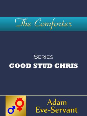 Cover of the book The Comforter by 