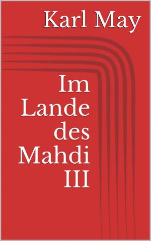 Cover of the book Im Lande des Mahdi III by Volker Schunck