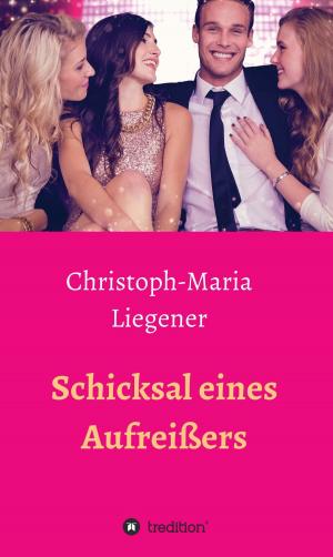 Cover of the book Schicksal eines Aufreißers by Friederike Müller-Friemauth, Rainer Kühn