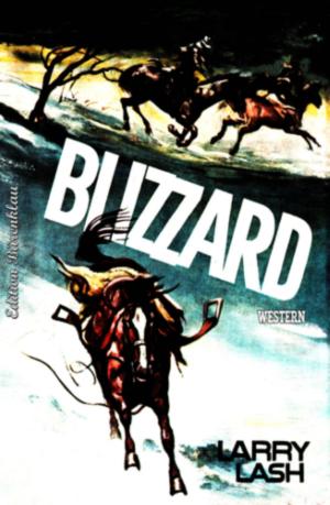 Cover of the book Blizzard by Freder van Holk