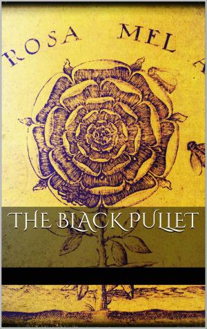 Cover of the book The Black pullet by Caroline von Oldenburg