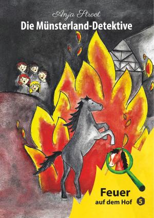Cover of the book Die Münsterland-Detektive / Feuer auf dem Hof (5) by Domi Montesinos
