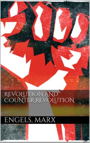 Cover of the book Revolution and Counter-Revolution by Klaus Hinrichsen