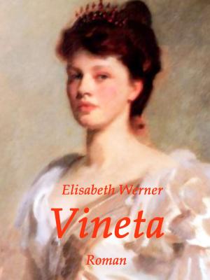 Cover of the book Vineta by Heike Boeke