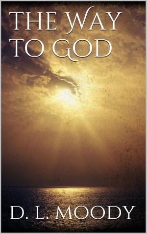 Cover of the book The Way to God by Sylvia Schwanz
