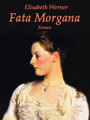 Book cover of Fata Morgana