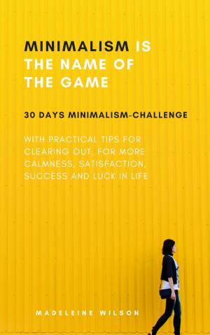 Cover of the book Minimalism Is The Name Of The Game by Fiona Evans