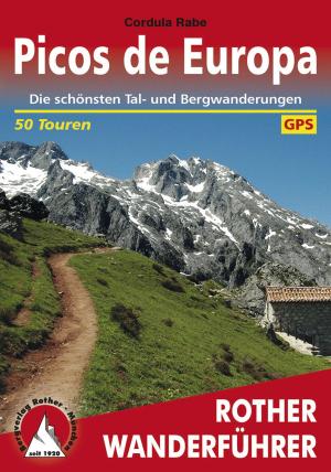 Cover of the book Picos de Europa by Winfried Borlinghaus