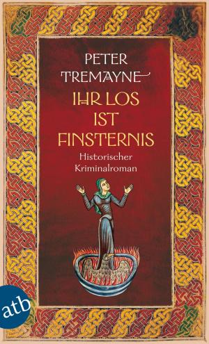 Cover of the book Ihr Los ist Finsternis by Ellen Berg